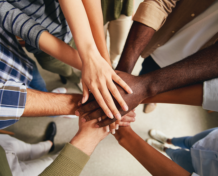 Direitos <b>Humanos e Diversidade</b>.