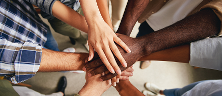Direitos <b>Humanos e Diversidade</b>.
