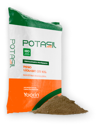Potasil